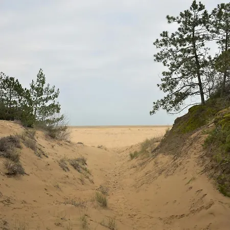 Great With Huge Terrace In A With Common Pool In Lignanoriviera Lägenhet Lignano Sabbiadoro